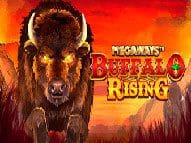 Buffalo Rising Megaways